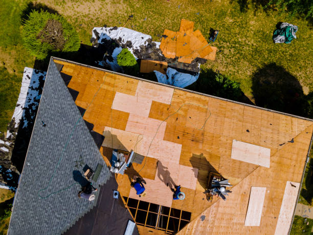 Best Shingle Roofing Installation  in Franklin, GA