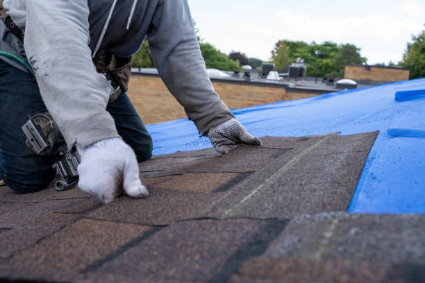 Best Roof Replacement Cost  in Franklin, GA