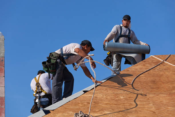 Best Roof Waterproofing Services  in Franklin, GA
